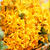 ズッキーニの花を食す　Flor de Calabaza