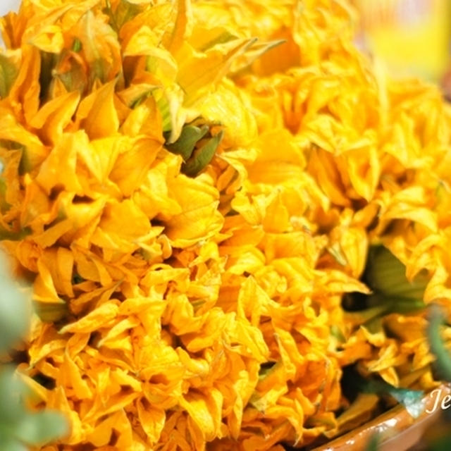 ズッキーニの花を食す　Flor de Calabaza