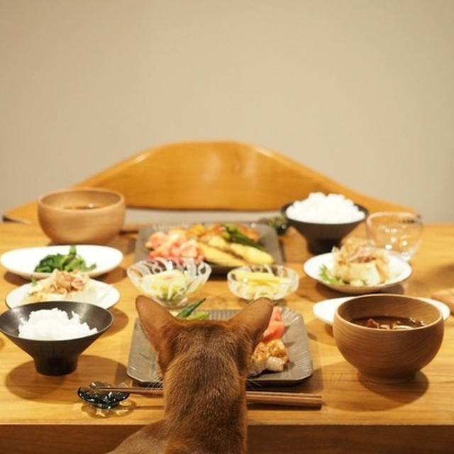 茶色いピカピカの鶏の照り焼きの夜ごはん