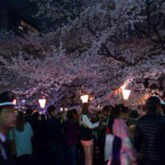 3/23 お花見＠目黒川