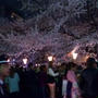 3/23 お花見＠目黒川