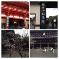 八坂神社から知恩院へ初詣