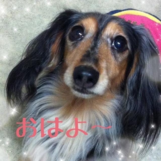 今日の1枚☆