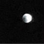 今夜は皆既月食ですー♪