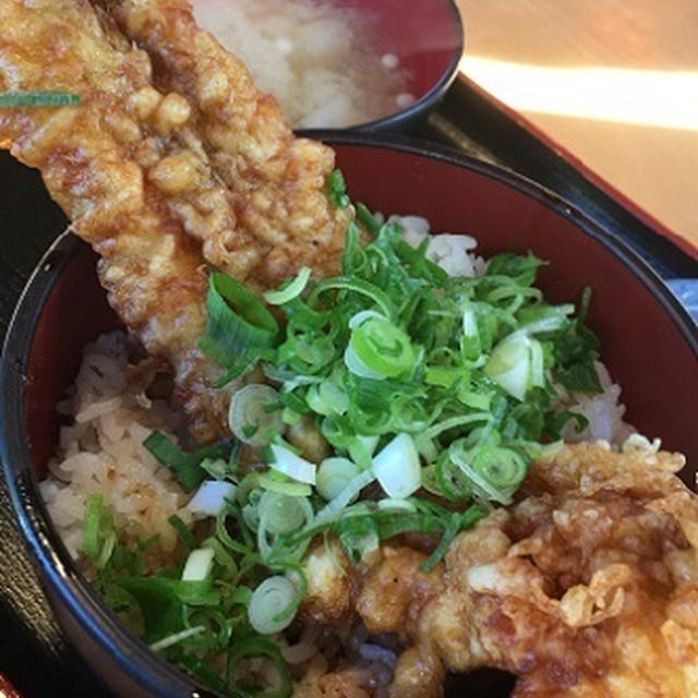 やっと食べた～活穴子丼　イルカ