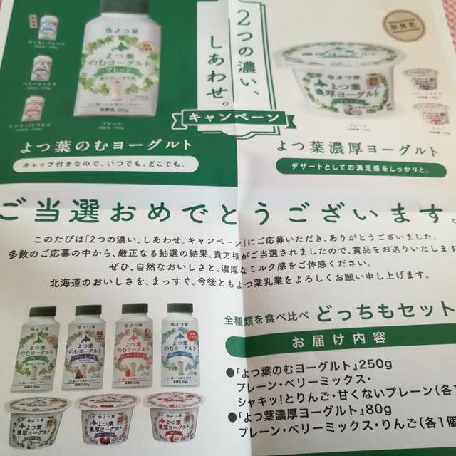 当選　よつ葉ヨーグルト