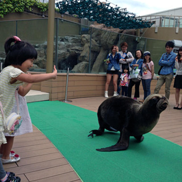 池袋サンシャイン水族館