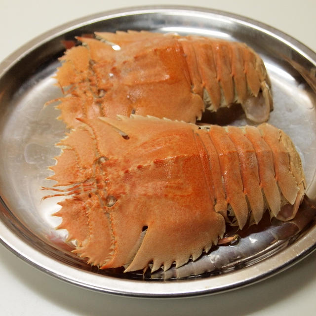 うちわ海老