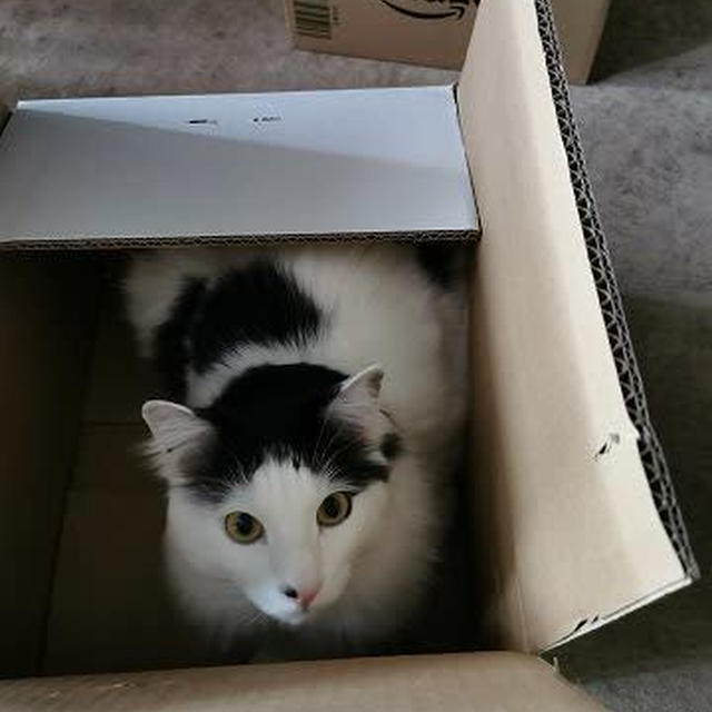 荷造り