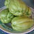 Chayote, シャイヨットにはまる