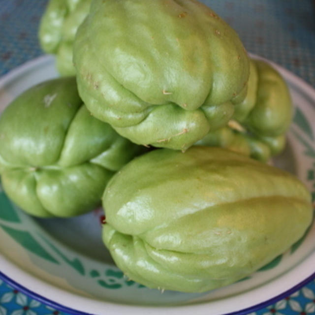 Chayote, シャイヨットにはまる