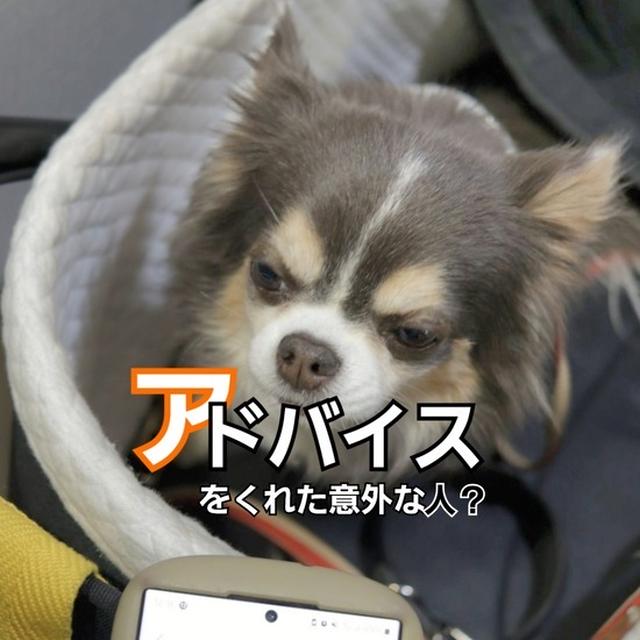 アドバイスをくれた意外な…