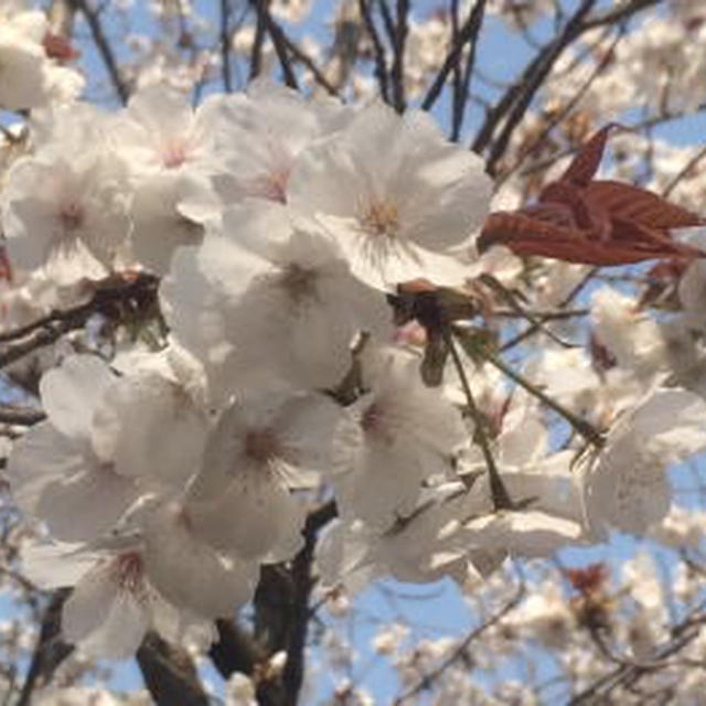 * 陶芸体験教室～♪