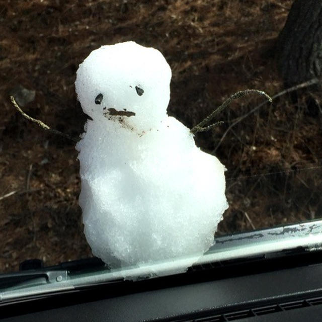 雪だるま作ろう