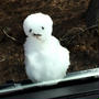 雪だるま作ろう