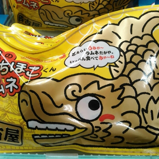 雪の影響で予定変更の帰省となりました