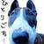 お久しぶりはインスタから