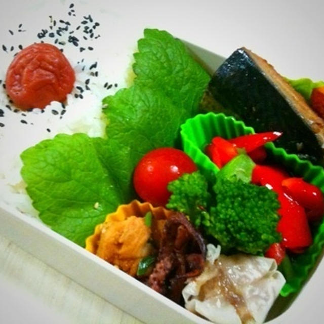 旦那さん鯖梅酢さっぱり煮弁当。