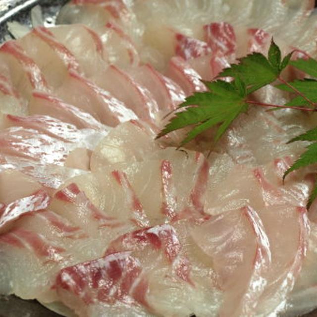 真鯛の刺身　シンプル盛り付け