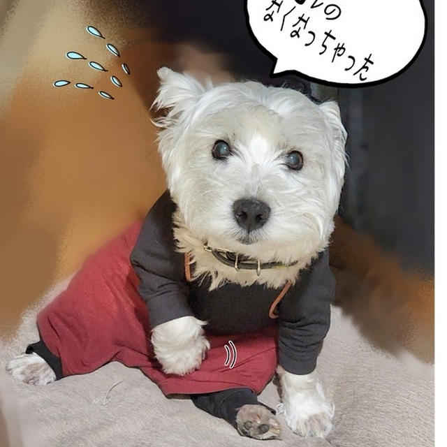 オレの大事なもの…　なくなった