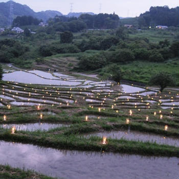 菊川の棚田