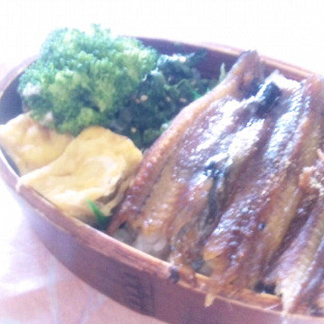 今日のお弁当