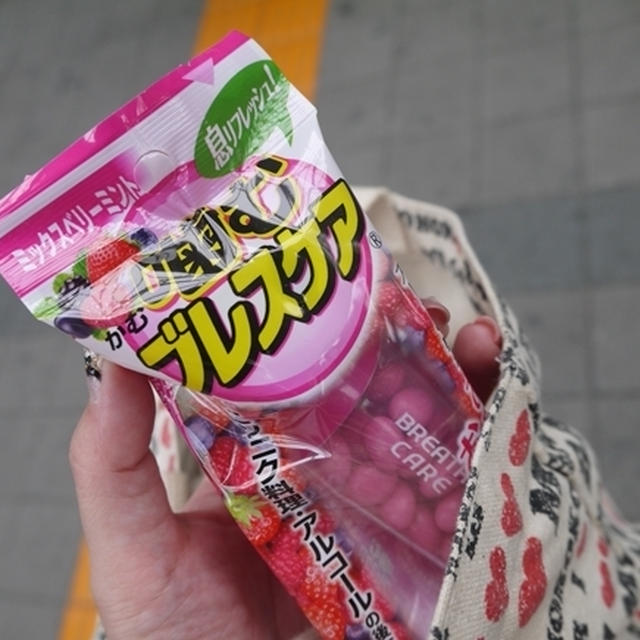 絶対ポーチに入れてるモノ