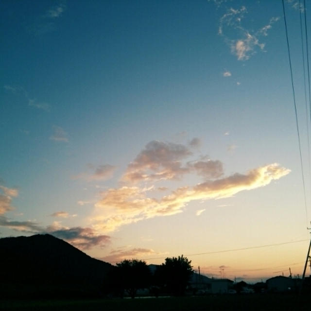 う～さぎ♪うさぎ￣(=∵=)￣♪とキターーー(゜∀゜)ーーーー!!!!!