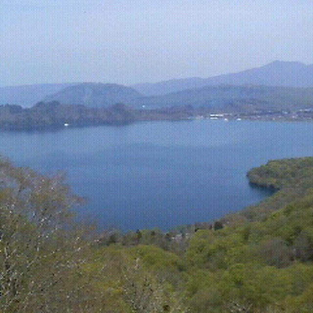 お散歩しに♪