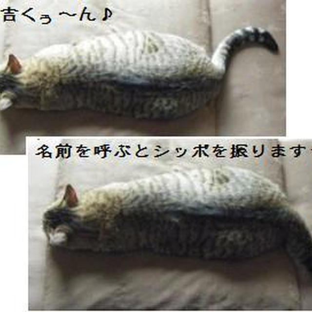 【プレ便】ありがとうございます。
