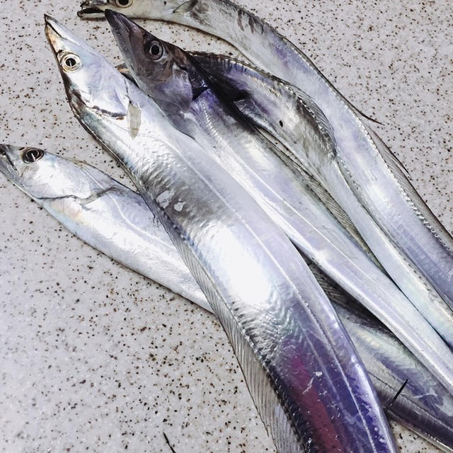 太刀魚祭りと年末のご挨拶♫