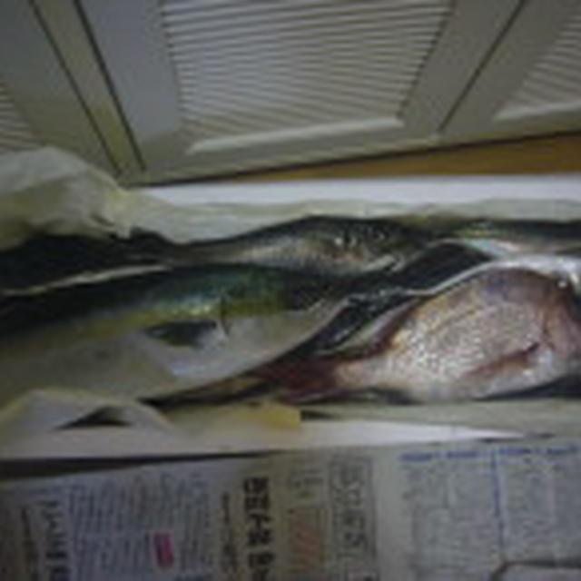 いかっぺ市に行ってきました