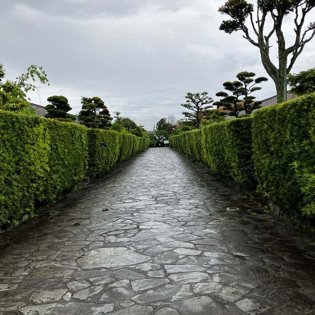 晴れてよかったー！＼(^o^)／