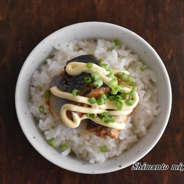 今日の のっけごはん～さば味噌マヨのっけごはん～