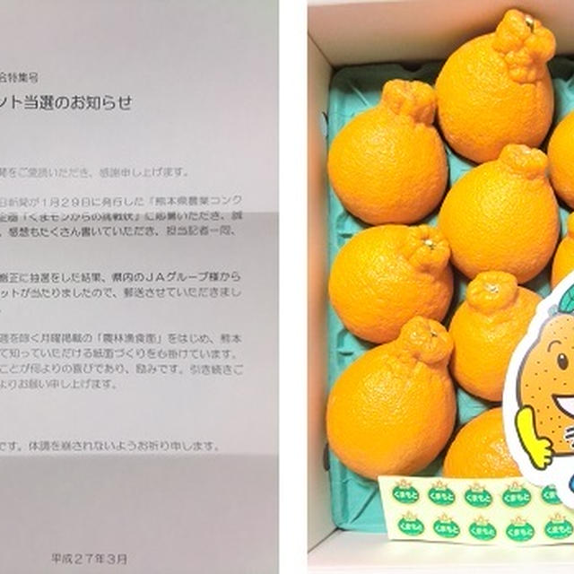 熊本県から美味しいものが1箱届いた♪