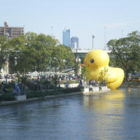 中之島公園へ