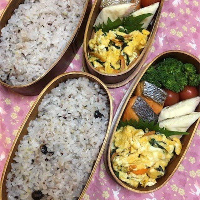 20170524焼鮭とノンフライおから春巻き弁当