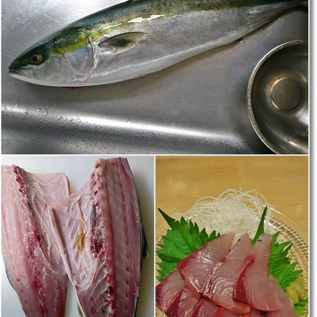 【ダンナさんの釣果】と帰省の途中で600匹の鯉のぼりイベントへ♪