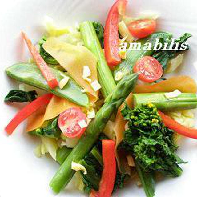 春野菜のサラダセット