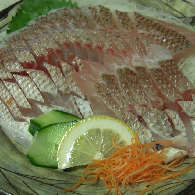 レンコダイ刺身とまなカツオのたたき＆特別純米・奥の松