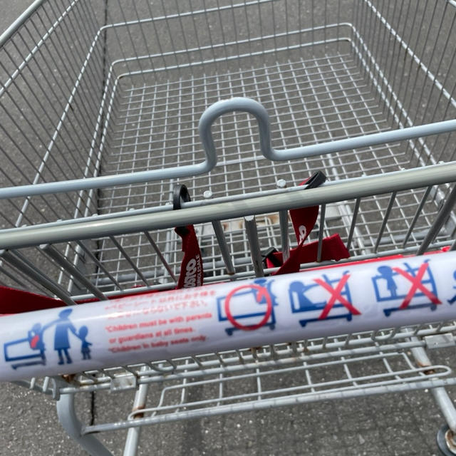 ＊コストコ＊気になりすぎて買ってみた結果。「たまねぎチップス」