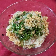 薬味たっぷりのぶっかけそうめん