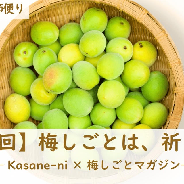 【第1回】梅しごとは、祈りです。── 季節といのちを重ねる台所から