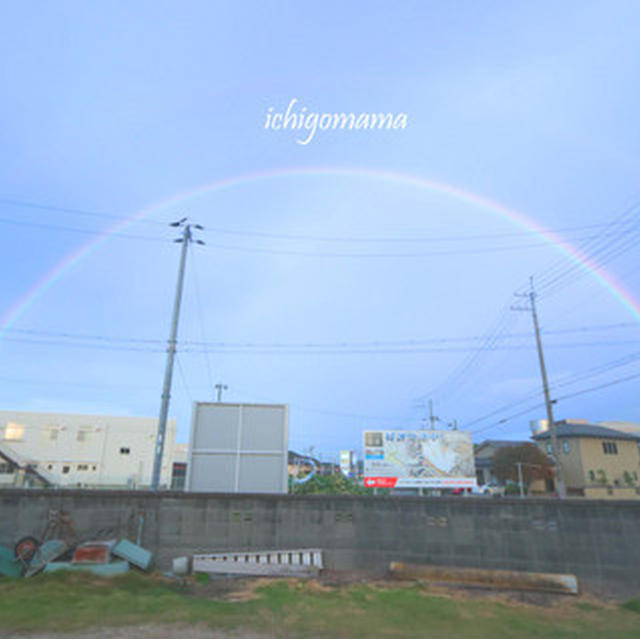 ほんとうのこと。