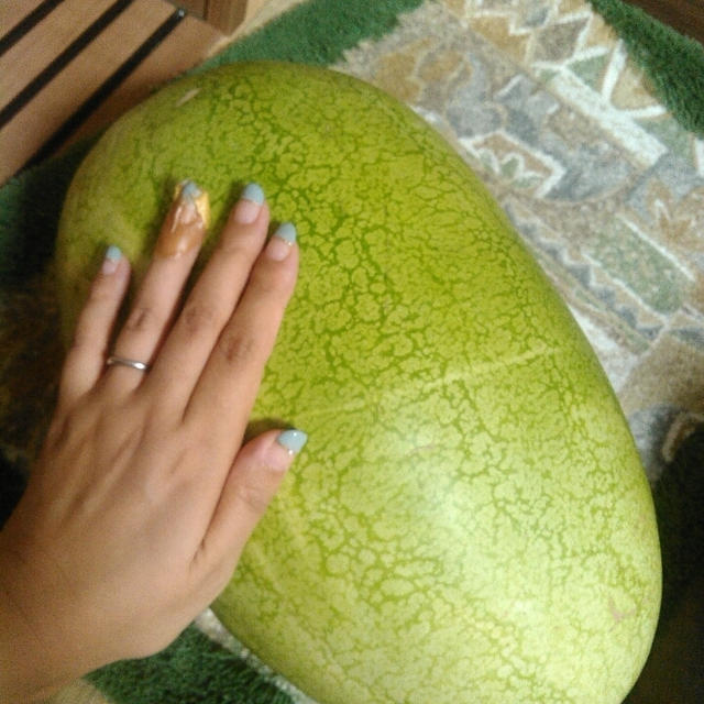 子どもの夏休み！夏野菜を畑で収穫したよ