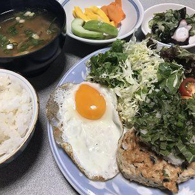 和風おろしポン酢ハンバーグ