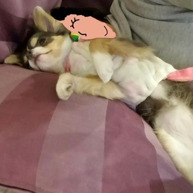まりちゃんと写真撮影