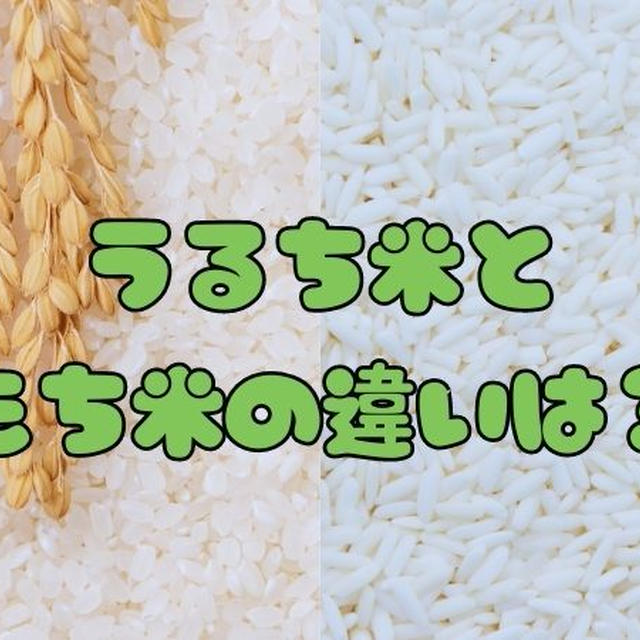 うるち米ともち米って何が違うの？2種類のでんぷん、アミロースとアミロペクチンとは？