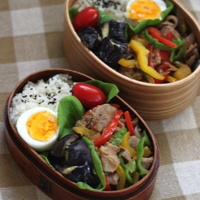 自慢の風景　☆　今日のお弁当と晩ご飯♪