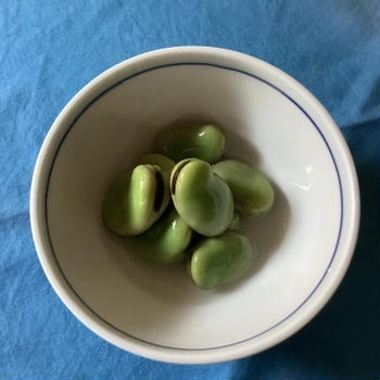 課題は餃子の皮をお休みする時間が取れる？